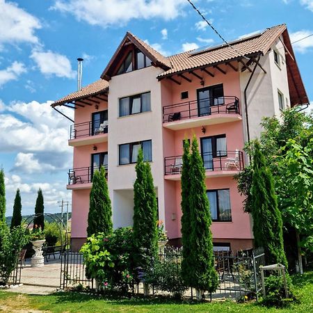 Pensiunea Emma Sîmbăta de Sus Екстериор снимка