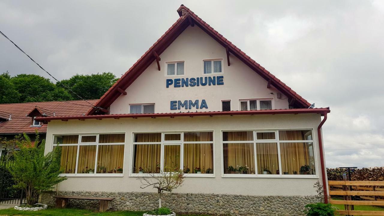 Pensiunea Emma Sîmbăta de Sus Екстериор снимка